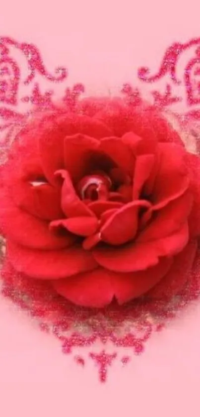 Red rose on a heart-patterned pink background.