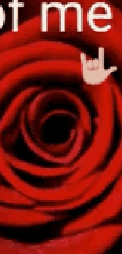 Vibrant red rose with love emojis and infinity symbol.
