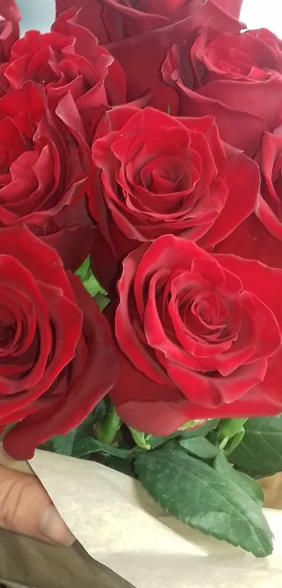 A vibrant red roses bouquet with green leaves and elegant petals.