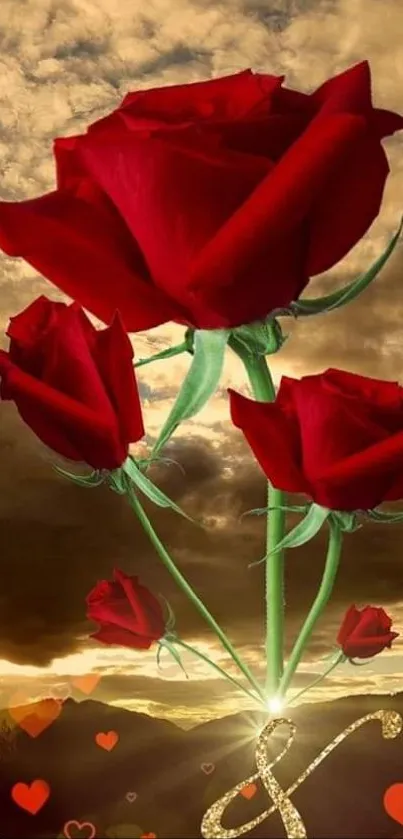 Vibrant red roses against a dramatic sky.