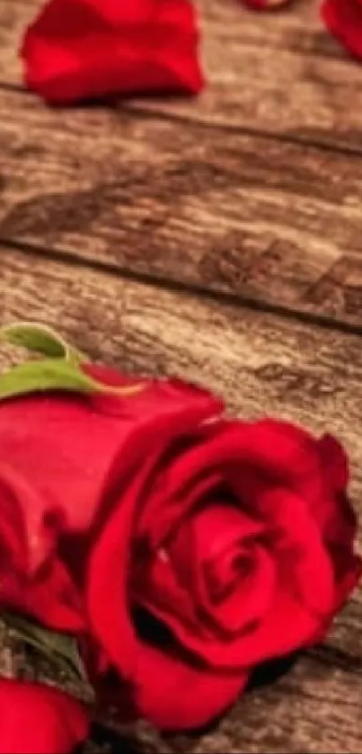 Romantic red roses on rustic wood background wallpaper.