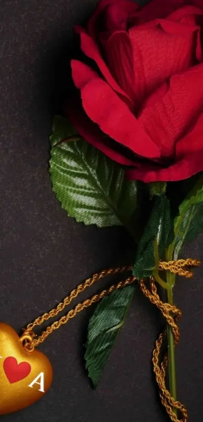 Elegant red rose with a gold heart charm accent.