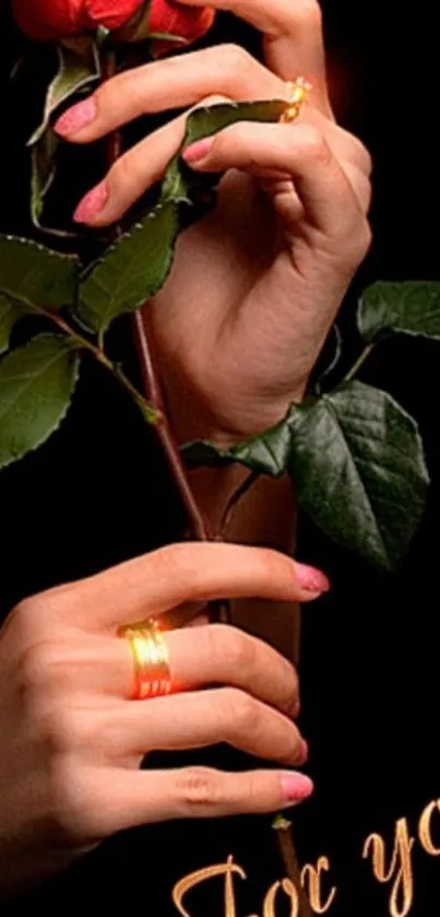 Hand holding a red rose against a dark background.