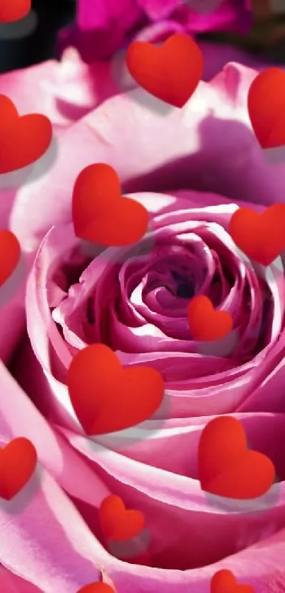 A beautiful pink rose with red hearts floating around.