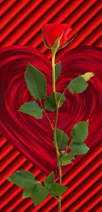 Red rose with green leaves on a heart background wallpaper.