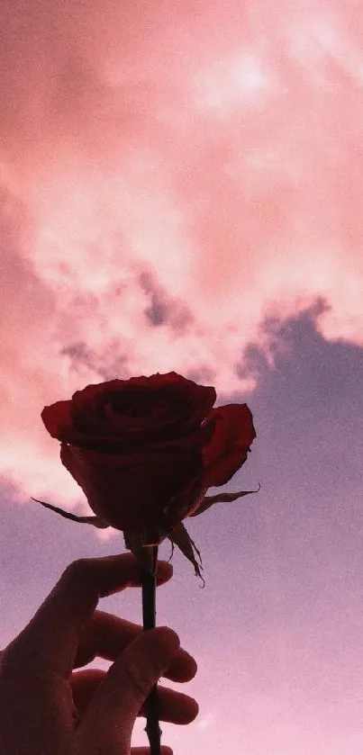 Pink sky with a rose held up, creating a romantic mobile wallpaper.