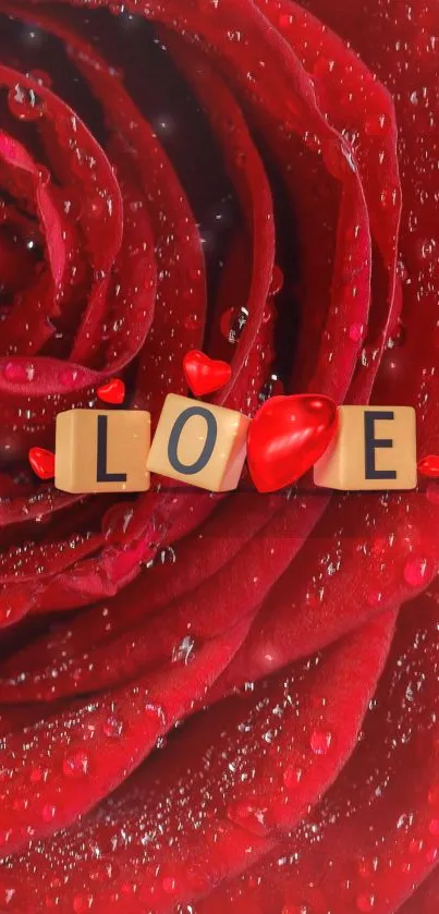 Red rose with 'Love' blocks and dewdrops on petals.