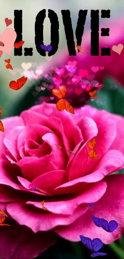 Pink rose with butterflies and LOVE text on wallpaper.