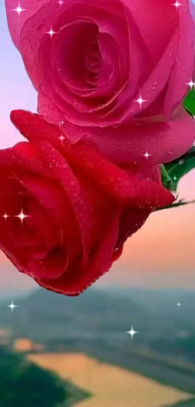 Romantic red roses with sparkles and sunset background.