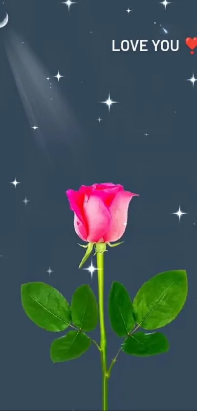 Romantic rose against a dark blue night sky with stars and moonlight.