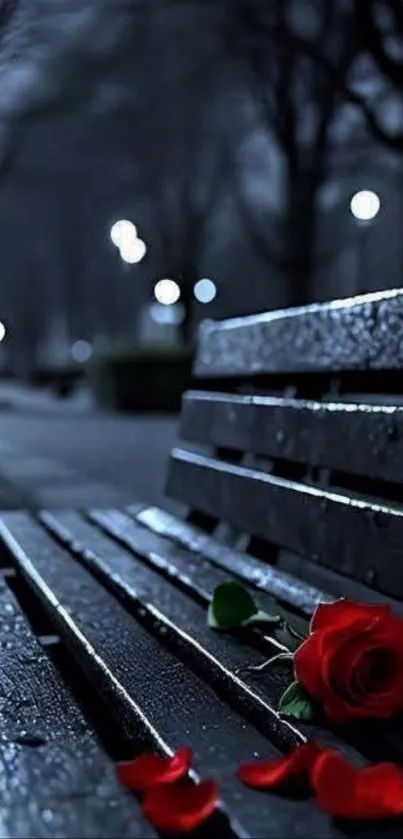 Red rose resting on a wet park bench at night.