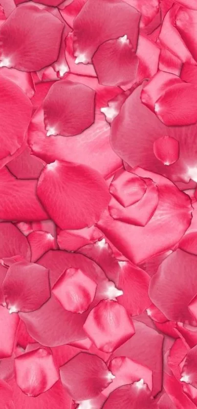 Pink rose petals cascading elegantly for a romantic phone wallpaper.