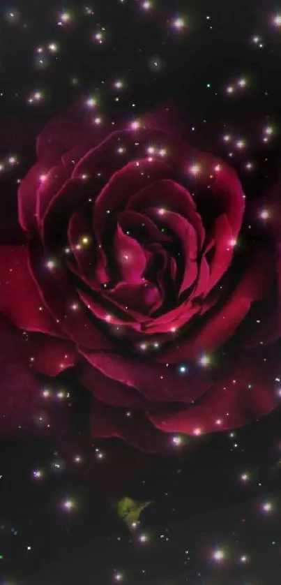 A burgundy rose with glowing stars on a dark background.