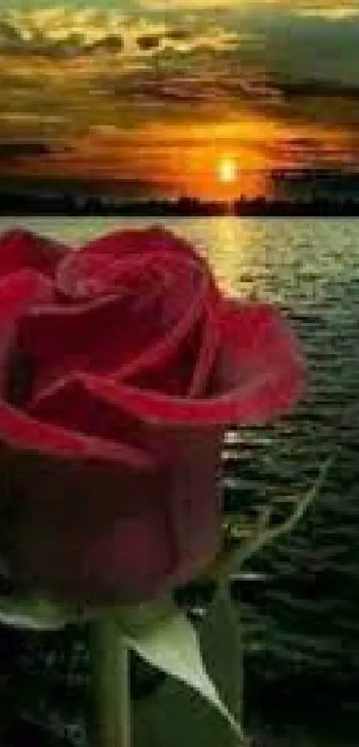 Vibrant red rose against a sunset skyline, reflecting in calm waters.