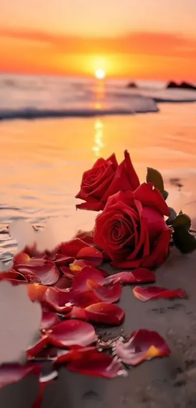 Red roses on a beach at sunset, perfect for romantic wallpaper.