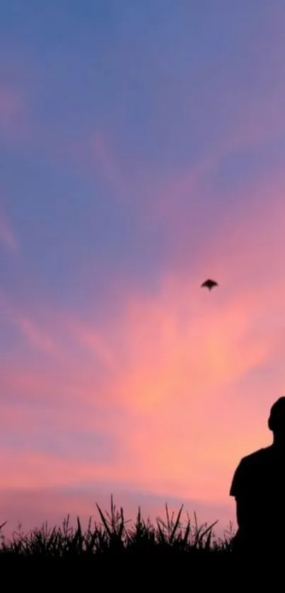 Silhouette against a pastel pink and blue sunset sky.