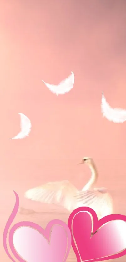 Swan in a romantic pink background with feathers and hearts.
