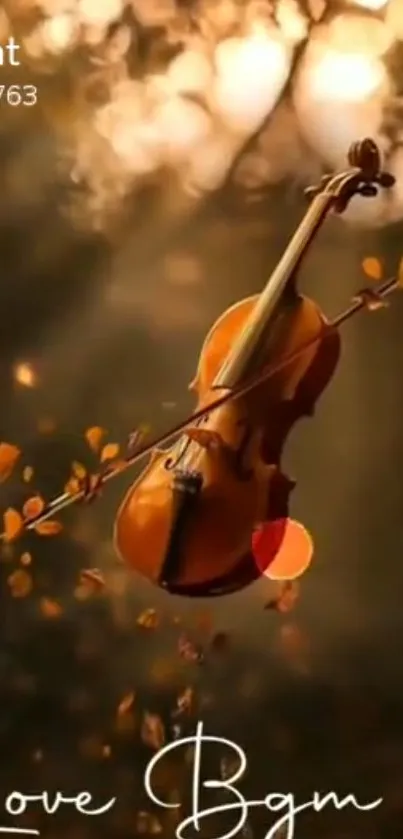 Violin with autumn leaves and warm lighting.