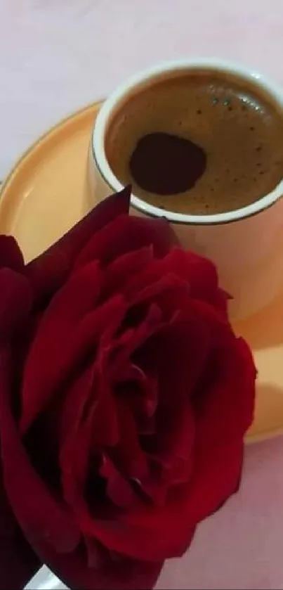 Elegant wallpaper with red rose and coffee.