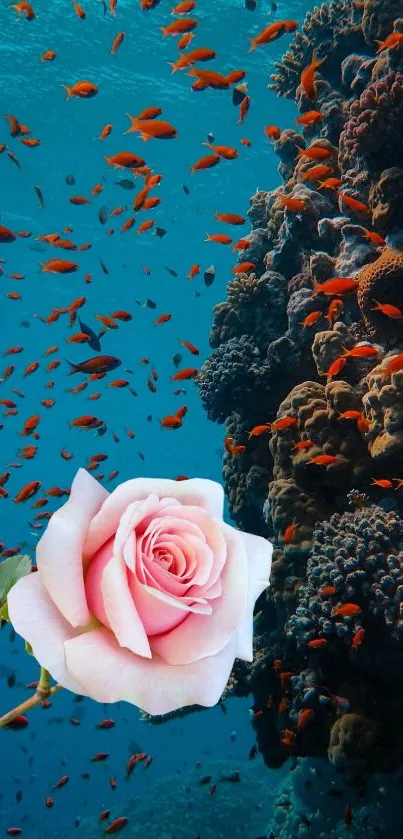 Mobile wallpaper with a pink rose and vibrant coral reef.