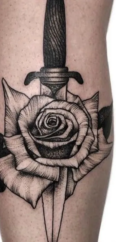 Black and white rose and dagger tattoo on skin background.