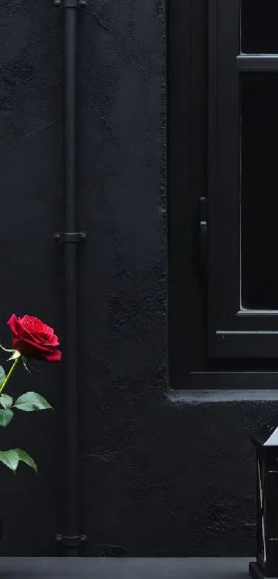 Minimalist wallpaper of a rose and lantern by a window.
