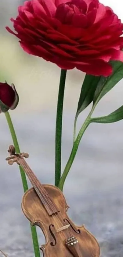 Red rose and small violin on a subtle background, creating a unique aesthetic.