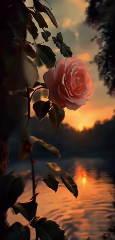 Rose against sunset by lake, serene wallpaper scene.