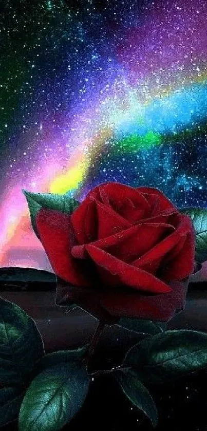 A vibrant red rose under a colorful galaxy sky, perfect for mobile wallpaper.