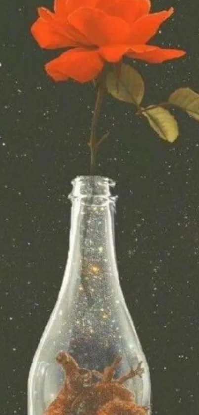 Red rose in a glass bottle on a starry background.