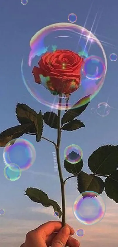 Red rose in a bubble against a blue sky.