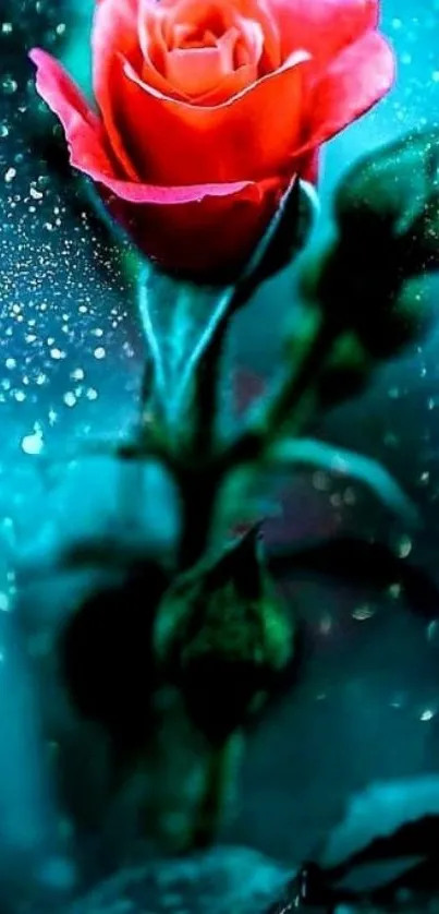 Vibrant red rose amidst a mystical blue mist mobile wallpaper.