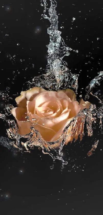 Elegant rose encapsulated in cascading water on a dark background.