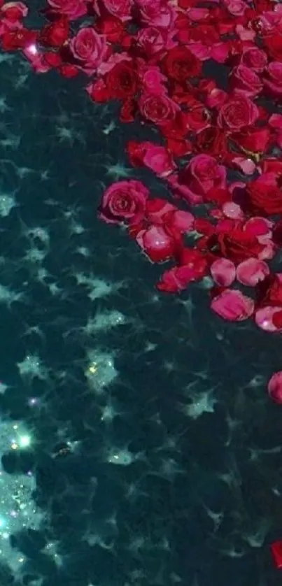 Vibrant rose petals floating on teal water.