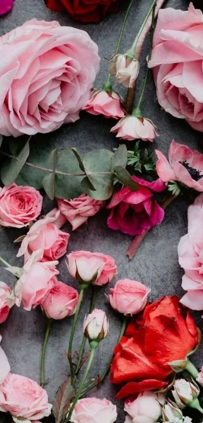 Mobile wallpaper featuring pink and red roses on a gray background.