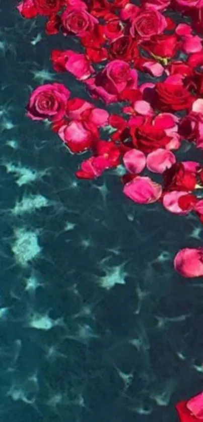 Red roses float on aqua water, creating a serene and vibrant mobile wallpaper.