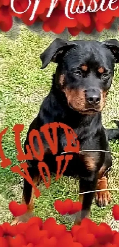 Rottweiler with red hearts and 'I Love You' message on grass background.