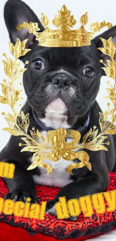 Bulldog with a gold crown on a red cushion, saying 'I'm special doggy'.