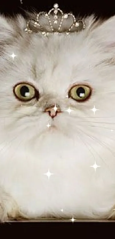 Adorable fluffy white cat wearing a tiara, perfect for a royal touch on your phone screen.