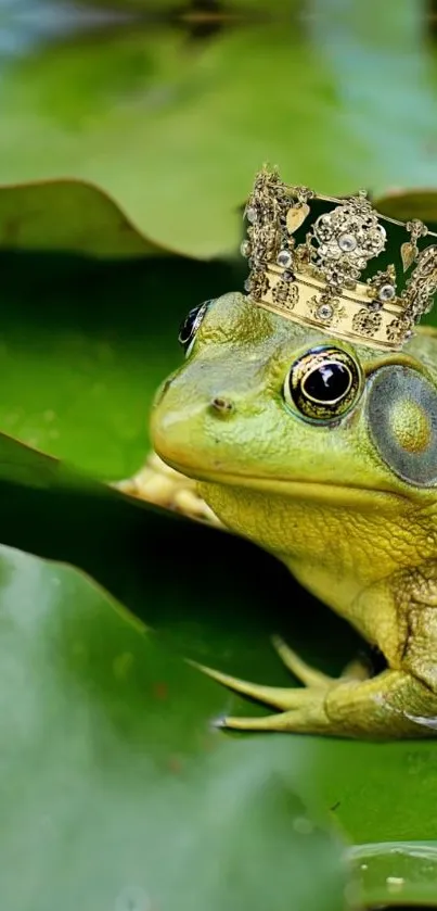 Crowned frog nestled on vibrant green leaves, exuding a royal fantasy vibe.