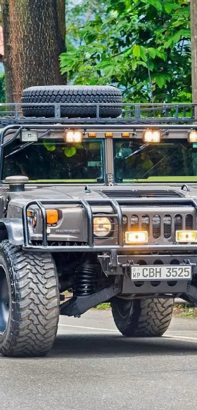 Rugged SUV on a road surrounded by lush green trees.