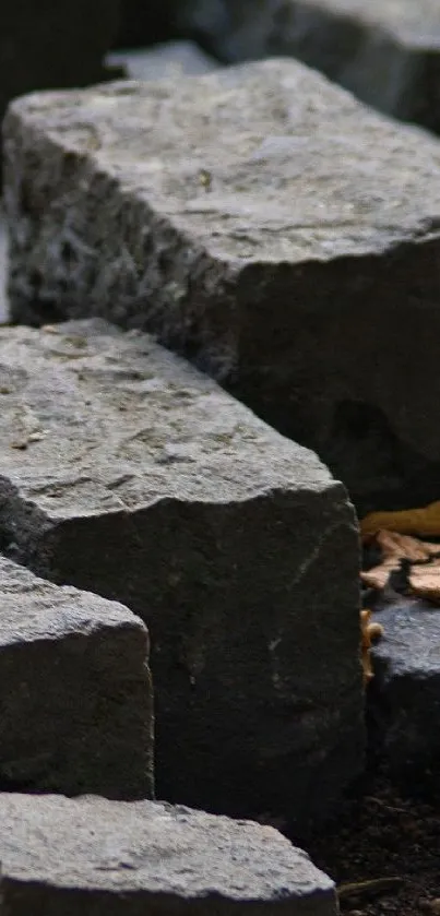 Close-up view of rugged stone wall texture in dark gray tones.