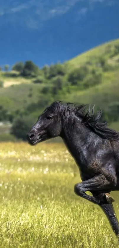 Dynamic black horse running through green meadows with mountains in the background.