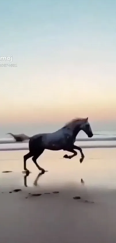 Majestic horse running on a serene beach at sunset.