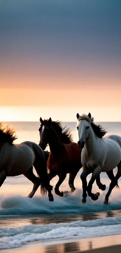 Three horses gallop on a sunset beach, ocean waves splashing.