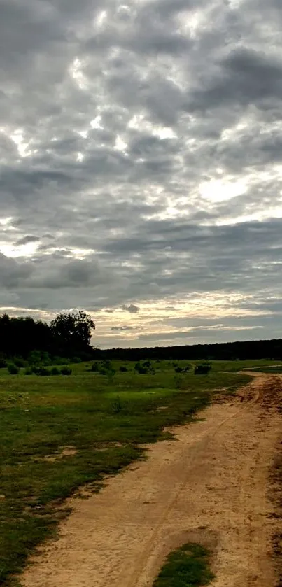 Rural path under dramatic cloudy skies with green fields.