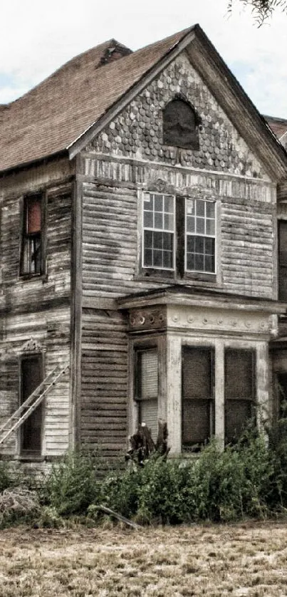 Abandoned rustic house in a natural setting, perfect for a vintage look.