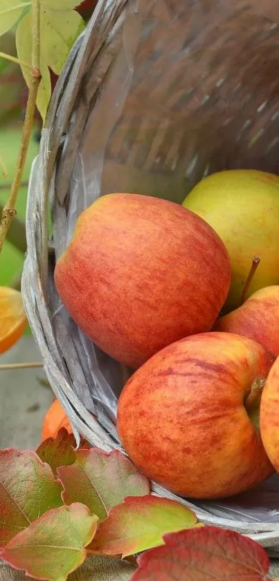 Rustic wallpaper with apples in a basket.