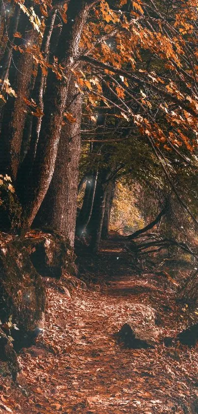 A tranquil autumn forest path covered in fallen leaves.