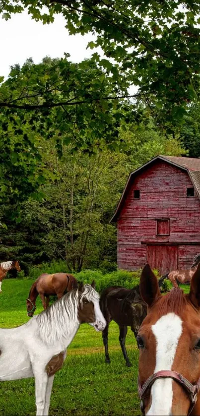 Mobile wallpaper of a countryside barn with grazing horses.